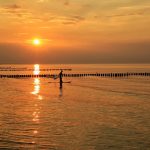 Ongekende stilte: Hoe de wereld stopte in 2020 🌍