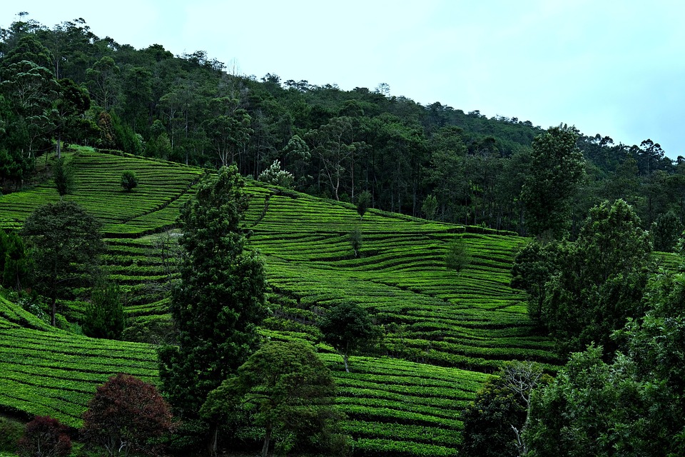 Verbluffende ontdekking: Onderwaterstad in de Golf van Cambodja onthuld! 🌊