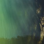 De wereld verstomt: De schokkende ontdekking van een nieuwe veiligheidsfunctie! 🔒