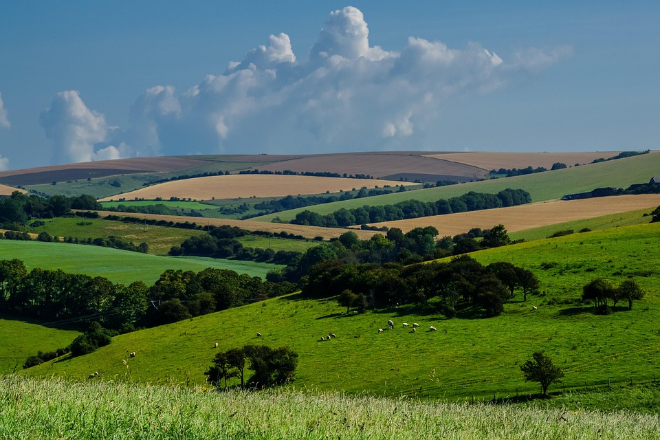 Revolutionaire Doorbraak: Deze Technologie Verandert Onze Toekomst! 🚀