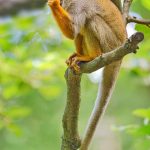 Zonverduistering 2004: Het Hemelgewelf dat Iedereen in Verwondering Verkeerde 🌒