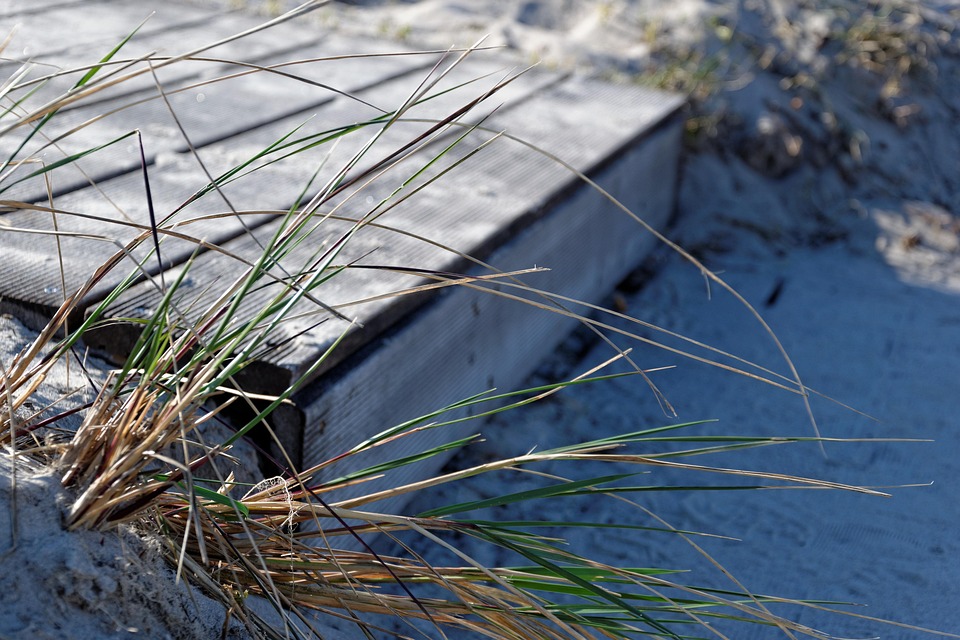 Ontdek de Schokkende Revolutie: Hoe de Arabische Lente de Wereld Veranderde 🌍