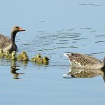 “Hoe de valleien van de Wall Street-crisis ons levenspad veranderden 💔”