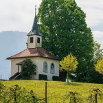 Verbluffende ontdekking: De eerste foto’s van de maan vanuit Artemis! 🌕