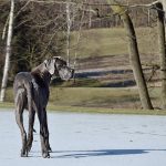 Hoe de Haal van de Wereld de Kracht van Samenwerking onthulde 🌍
