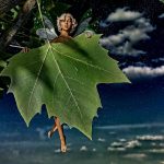 Ontdek de Verbijsterende Regens die 2013 de Wereld Veranderden 🌧️