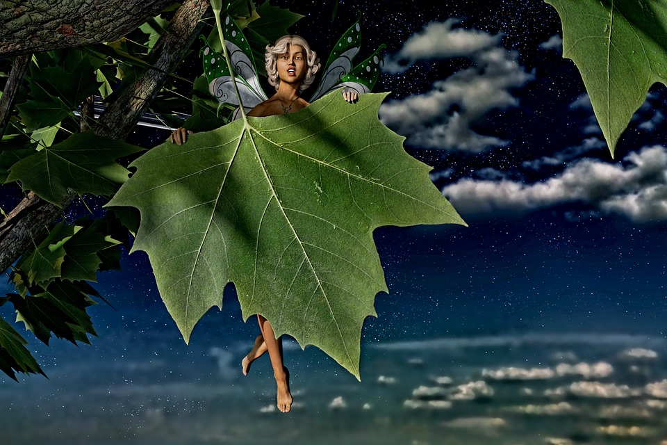 Ontdek de Verbijsterende Regens die 2013 de Wereld Veranderden 🌧️