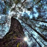 Ontdek het onverwachte wonder van de Live 8 concerten! 🎶