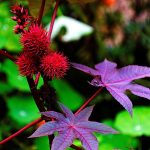 Ontdek hoe een onverwachte test het leven van duizenden veranderde! 🌍