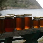 Schokkende Aardbeving in Haïti: Een Natie in Rampspoed 🌍✨