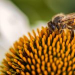 De Wereld in Rouw: Aardbeving Haiti Schudt Levens en Harten 🌍