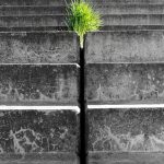 Verbluffende doorbraak: De mens op Mars in 2024! 🚀