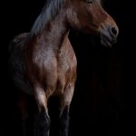 De Wereld Veranderde: Hoe COVID-19 Onze Levens Voor Goed Transformeerde 🌍