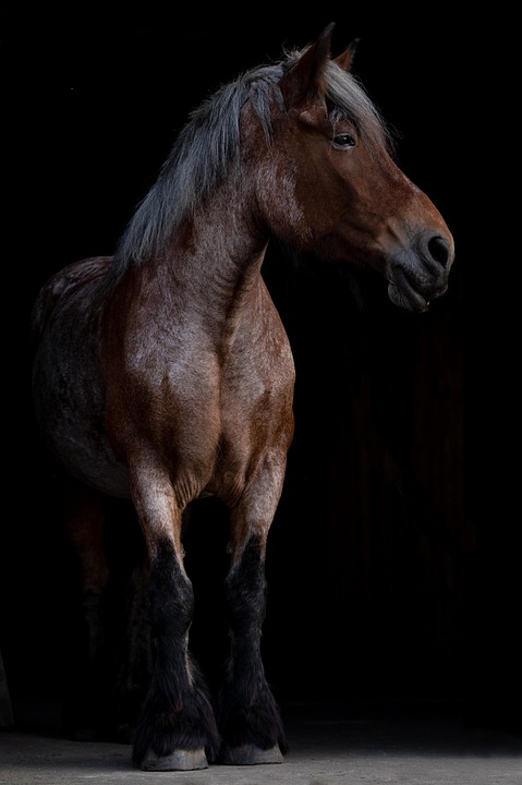 De Wereld Veranderde: Hoe COVID-19 Onze Levens Voor Goed Transformeerde 🌍