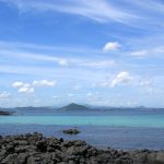 Hoe de Zinzi-familie de wereld versteld deed staan na 9 maanden 🌍✨