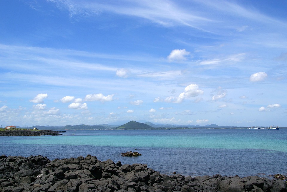 Hoe de Zinzi-familie de wereld versteld deed staan na 9 maanden 🌍✨