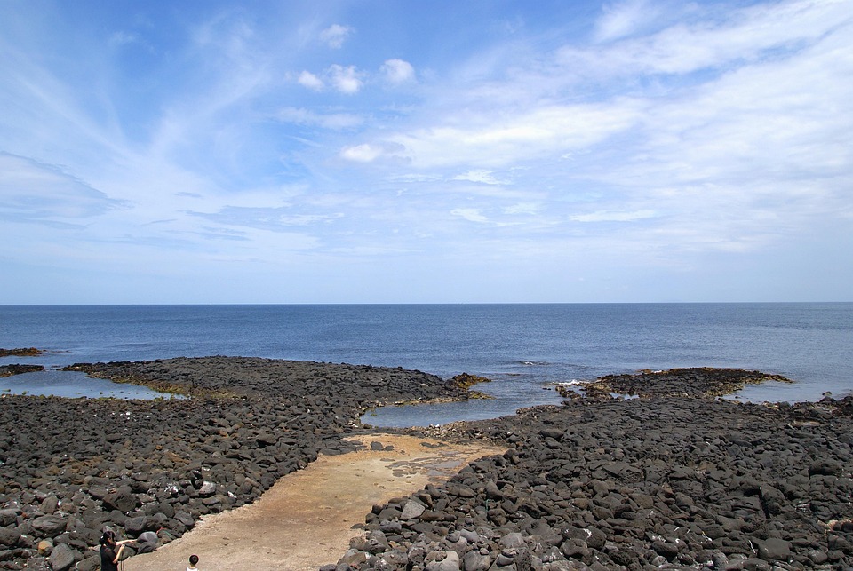 Hoe één jongen de wereld verraste met een eenvoudige boodschap 🌍