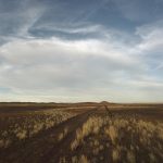 Ontdek de Onverwachte Wereldwijde Danssensatie van 2023! 💃✨