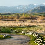 Ontdek de Verrassende Ontknoping van de Wereldbeker 2002! ⚽️