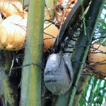 Onverwachte Aardevenementen: Hoe 2009 de Wereld Veranderde 🌍