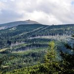 Verbluffende ontdekking: De mysterieuze sneeuwster van 2003 ❄️