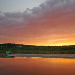 Revolutionaire Doorbraak: Wetenschappers Vinden Sleutel tot Onsterfelijkheid! 🔬