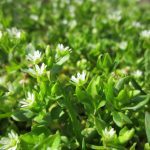 Verbaas je over de ongekende kracht van de transformatie in 2022! 🌍