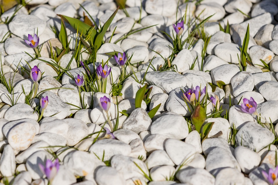 Verbluffende Doorbraak: Wetenschappers Ontdekken Levensvormen in Andere Dimensionale Werelden! 🌌