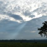 De Onvergetelijke Doorbraak: Hoe Twitter de Wereld Veranderde in 2006 📱