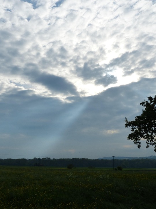 De Onvergetelijke Doorbraak: Hoe Twitter de Wereld Veranderde in 2006 📱