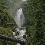Verbluffende ontdekking: Nieuwe dinosaurussoort doet wetenschappers versteld staan! 🦖