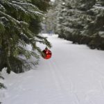 Vergeten Dinosaurus-Ei Verovert Wereld: Wat Betekent Dit Voor Wetenschap? 🦖