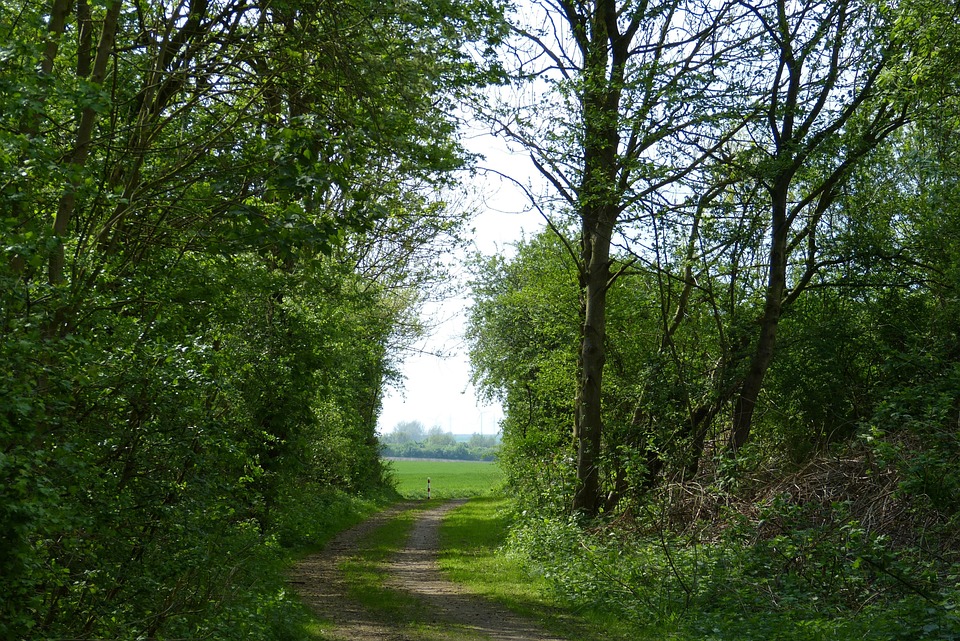 Ontdek de Onvergetelijke Zomer van 2017: Verlies jezelf in deze Waarheid! ๐