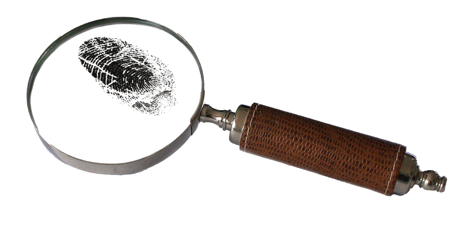 Verbluffende ontdekking: Vervlogen dinosaurussen weer tot leven? 🦖