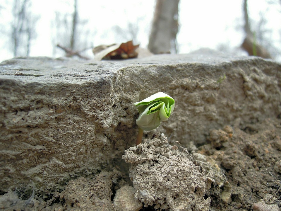Verbluffende Doorbraak: Wetenschappers Teleporteren Partikels in een Remarkabele Experiment! 🌌