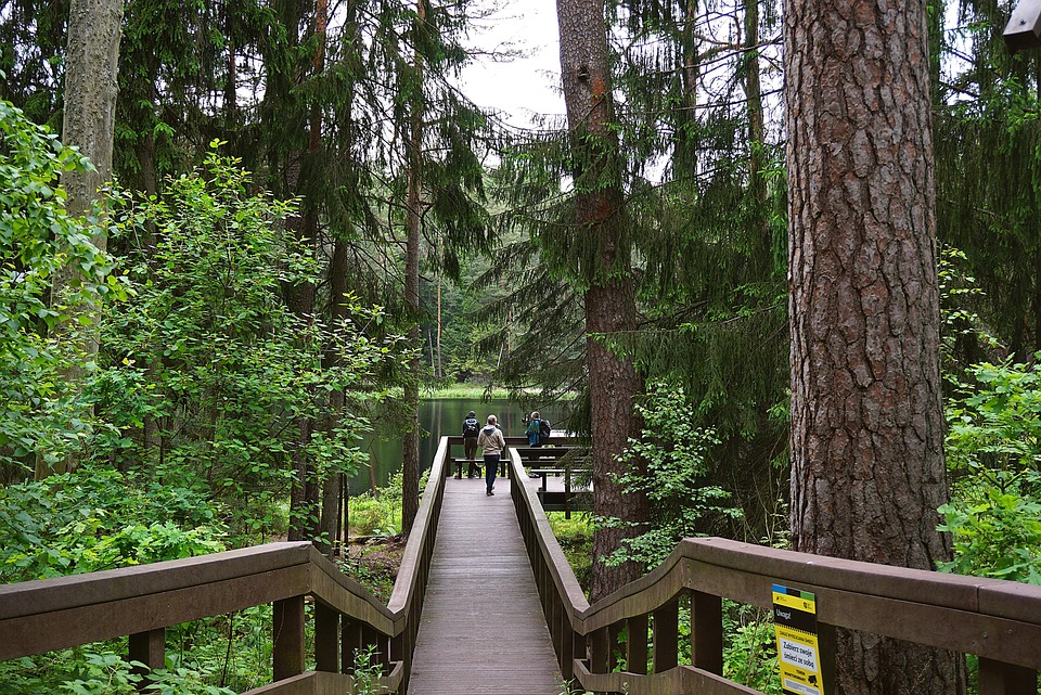In 2024 werd ‘Films die nergens draaien’ van Yorick Goldewijk uitgeroepen tot het favoriete kinderboek in de Grote Vriendelijke 100, waarmee het de drie jaar durende heerschappij van ‘Lampje’ van Annet Schaap beëindigde. (hebban.nl)