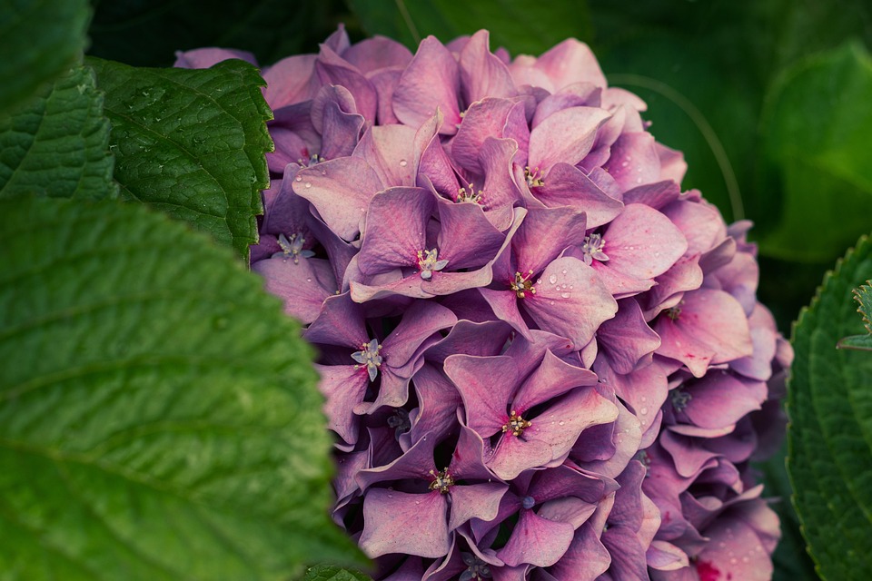 Ontdek de Verbazingwekkende Wending van de Wereldwijde Papieren Geld Crisis 💸