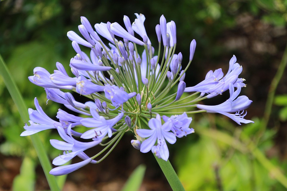 De Verbluffende Ontdekking van Water op Mars: Wat Betekent Dit Voor Ons? 🌌