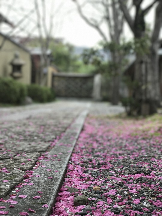 Wanneer de wereld stilviel: Hoe lockdowns ons verrassend verbond 🌍
