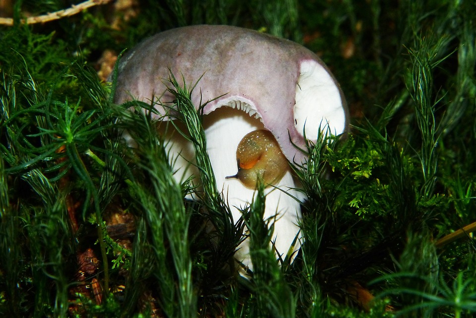 Verdoofd door de tsunami: Hoe 2004 de wereld in 2005 raakte 🌊