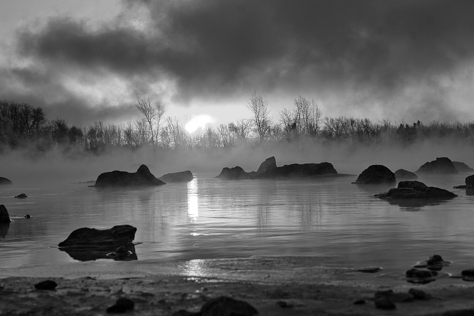 Verbluffende ontdekking: Hoe de eerste volledige dinosaurusskeletten ons verleden onthulden 🦕