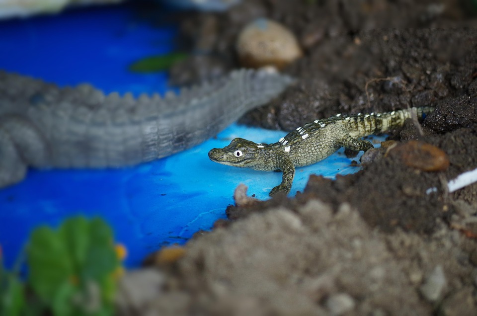 Hoe een vreemde sneeuwstorm de wereld in verwarring bracht ❄️