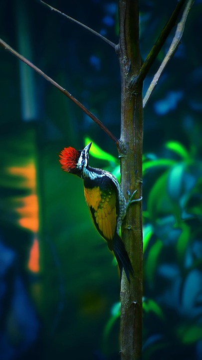 Verbluffende ontdekking: De geheimen van de oude Maya-beschaving onthuld! 🌍