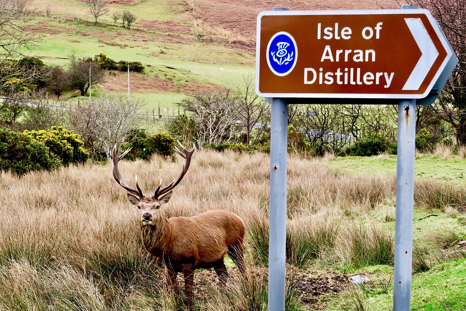 De Verrassende Ontdekking van Water op Mars: Een Nieuwe Hoop! 🌌