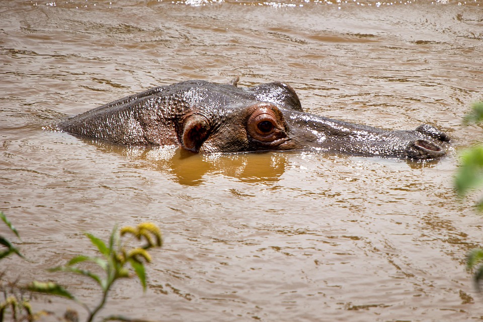 Wanneer de wereld veranderde: De schokkende invasie van Irak 🌍