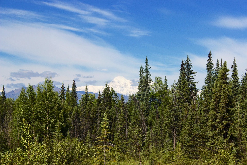 Ontdek de verbazingwekkende kracht van de Mars Perseverance Rover! 🚀