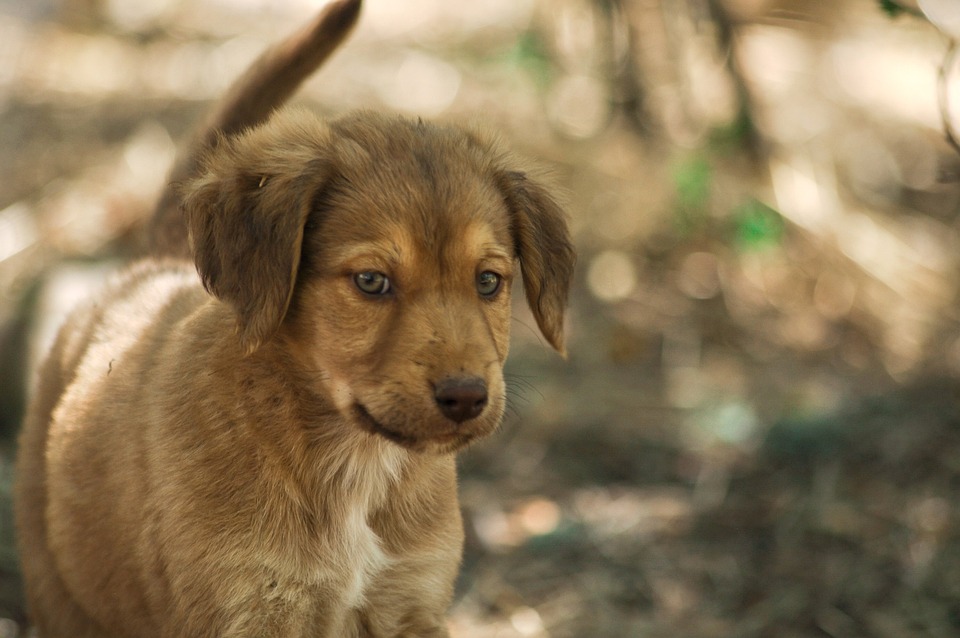 Verbazingwekkende ontdekking: Het geheim achter de mysterieuze Mayakalender! 🌌