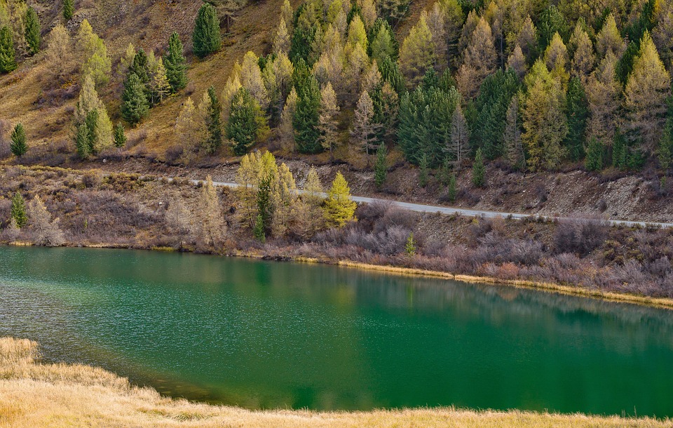 Verbijsterende ontdekking: Nieuw leven op Mars? 🚀