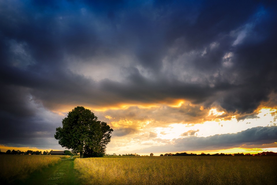 Verbijsterende onthulling: De doorbraak van Twitter en zijn wereldimpact! 🌍