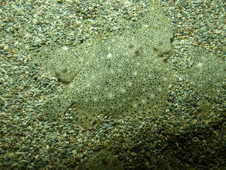 Verborgen Schatten: De Verrassende Ontdekking van de Titanic in 2003! 🌊